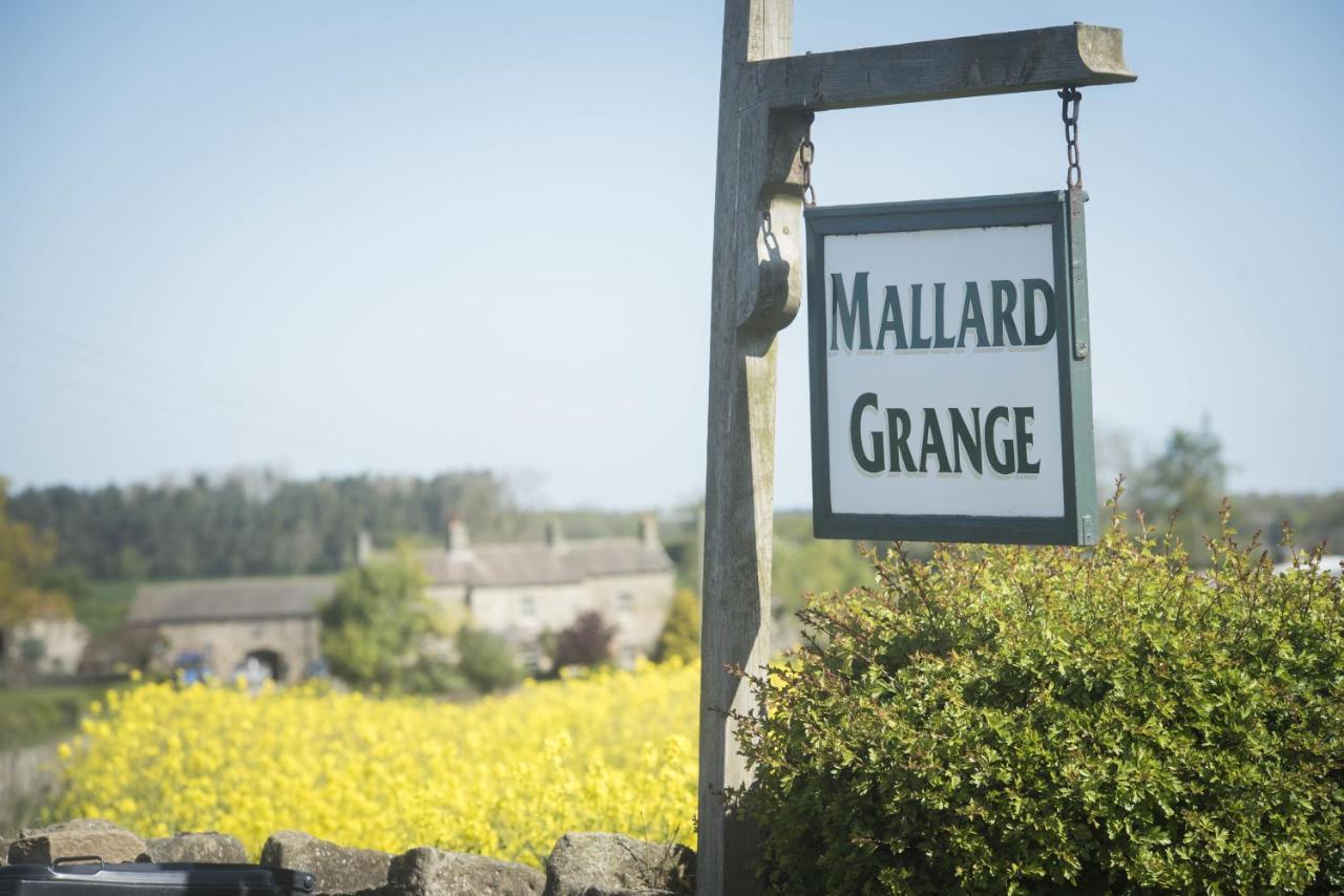Mallard Grange B&B ริปอน ภายนอก รูปภาพ